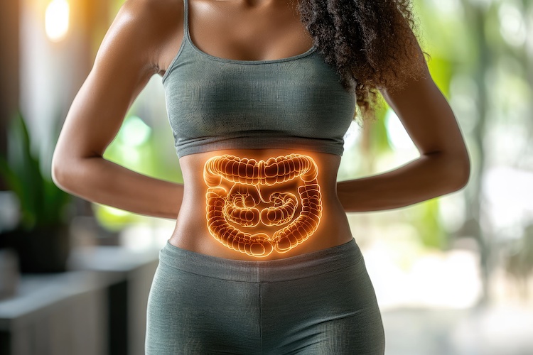 Conheça o suplemento alimentar que melhora o funcionamento intestinal